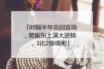 时隔半年重回赛场，樊振东上演大逆转，3比2徐瑛彬
