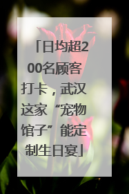 日均超200名顾客打卡，武汉这家“宠物馆子”能定制生日宴
