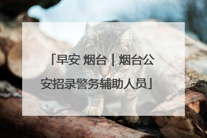 早安 烟台｜烟台公安招录警务辅助人员