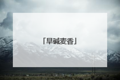 旱碱麦香