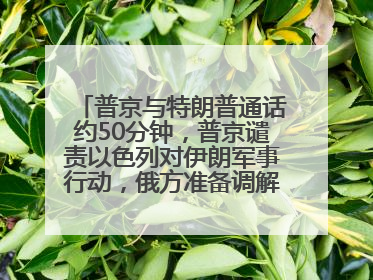 普京与特朗普通话约50分钟，普京谴责以色列对伊朗军事行动，俄方准备调解以伊冲突