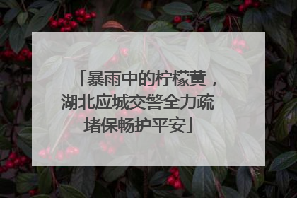 暴雨中的柠檬黄，湖北应城交警全力疏堵保畅护平安
