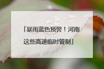 暴雨蓝色预警！河南这些高速临时管制