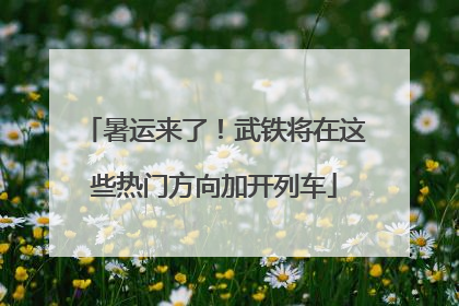 暑运来了！武铁将在这些热门方向加开列车