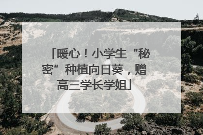 暖心！小学生“秘密”种植向日葵，赠高三学长学姐