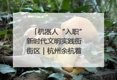 机器人“入职”新时代文明实践街街区｜杭州余杭着力提升城市精细化智能化管理水平