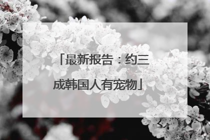 最新报告：约三成韩国人有宠物
