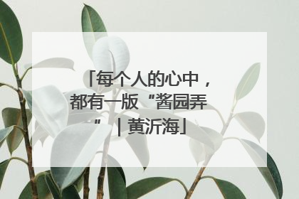 每个人的心中，都有一版“酱园弄”｜黄沂海