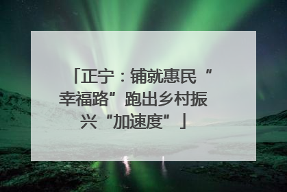 正宁：铺就惠民“幸福路”跑出乡村振兴“加速度”