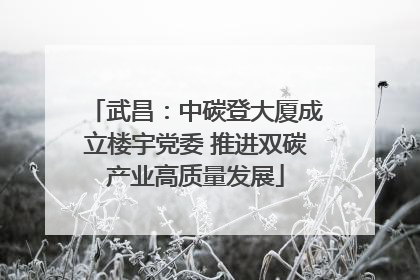 武昌：中碳登大厦成立楼宇党委 推进双碳产业高质量发展