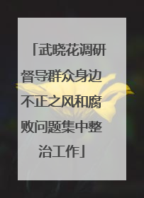 武晓花调研督导群众身边不正之风和腐败问题集中整治工作