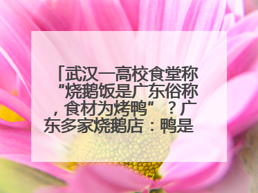 武汉一高校食堂称“烧鹅饭是广东俗称，食材为烤鸭”？广东多家烧鹅店：鸭是鸭鹅是鹅