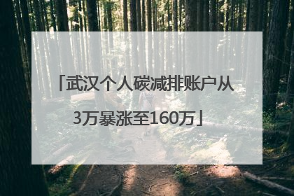 武汉个人碳减排账户从3万暴涨至160万