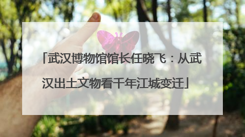 武汉博物馆馆长任晓飞：从武汉出土文物看千年江城变迁