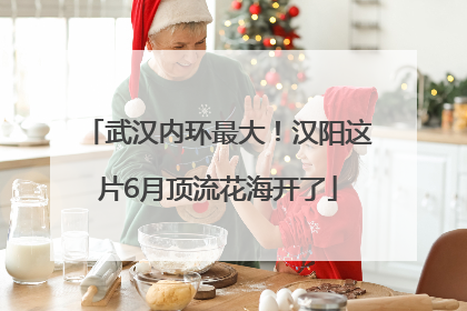 武汉内环最大！汉阳这片6月顶流花海开了