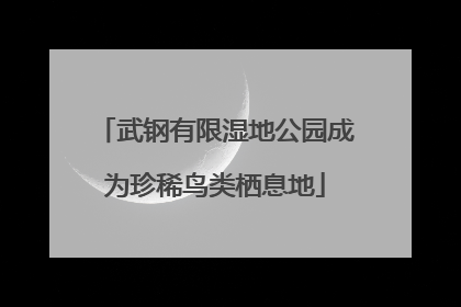 武钢有限湿地公园成为珍稀鸟类栖息地