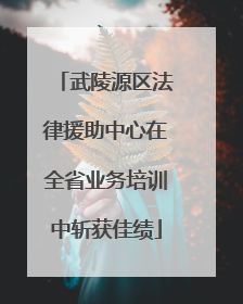 武陵源区法律援助中心在全省业务培训中斩获佳绩