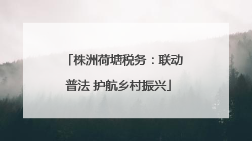 株洲荷塘税务：联动普法 护航乡村振兴