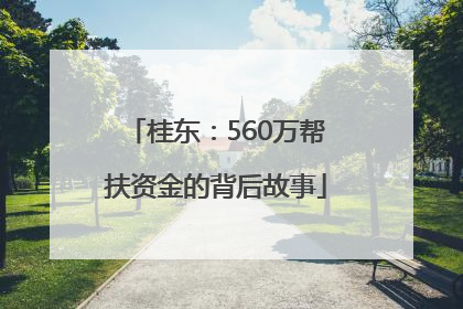 桂东：560万帮扶资金的背后故事