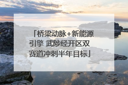 桥梁动脉+新能源引擎 武陟经开区双赛道冲刺半年目标