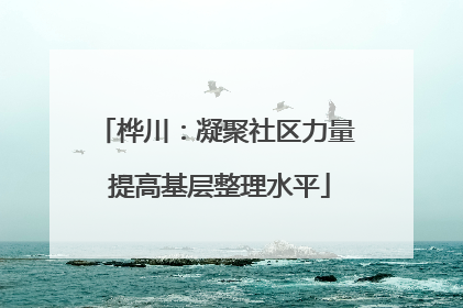桦川：凝聚社区力量 提高基层整理水平