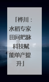 桦川：水稻专家田间把脉 科技赋能单产提升