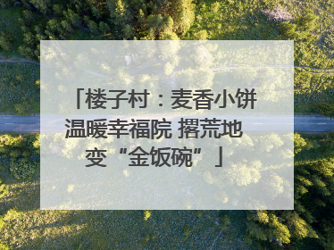 楼子村：麦香小饼温暖幸福院 撂荒地变“金饭碗”