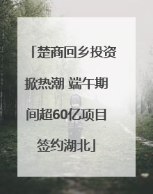 楚商回乡投资掀热潮 端午期间超60亿项目签约湖北