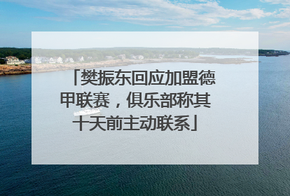 樊振东回应加盟德甲联赛，俱乐部称其十天前主动联系