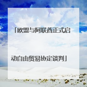 欧盟与阿联酋正式启动自由贸易协定谈判