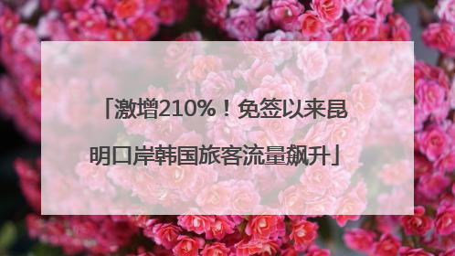 激增210%！免签以来昆明口岸韩国旅客流量飙升
