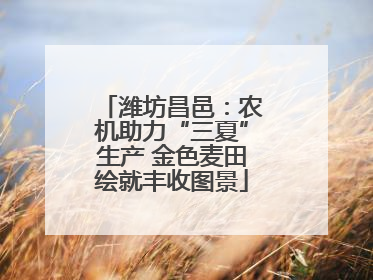 潍坊昌邑：农机助力“三夏”生产 金色麦田绘就丰收图景