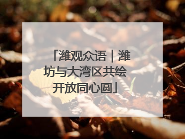 潍观众语｜潍坊与大湾区共绘开放同心圆