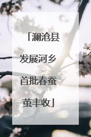 澜沧县发展河乡首批春蚕茧丰收
