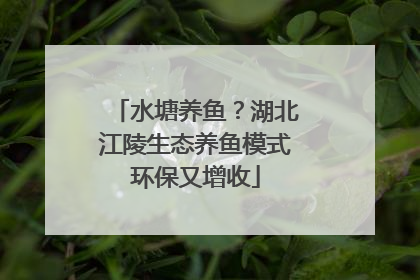 水塘养鱼？湖北江陵生态养鱼模式环保又增收
