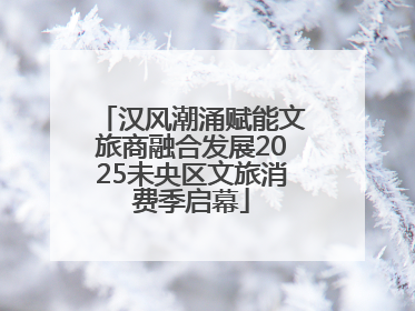 汉风潮涌赋能文旅商融合发展2025未央区文旅消费季启幕