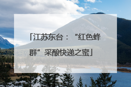 江苏东台：“红色蜂群”采酿快递之蜜