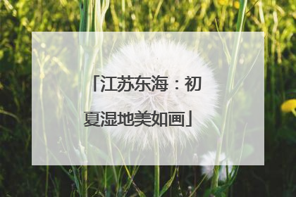江苏东海：初夏湿地美如画