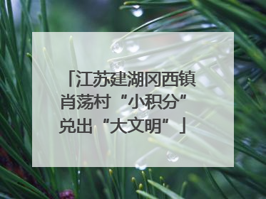 江苏建湖冈西镇肖荡村“小积分”兑出“大文明”