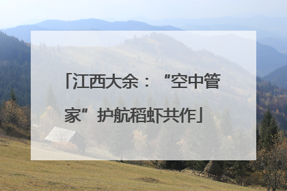 江西大余：“空中管家”护航稻虾共作