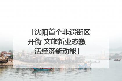 沈阳首个非遗街区开街 文旅新业态激活经济新动能