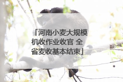 河南小麦大规模机收作业收官 全省麦收基本结束