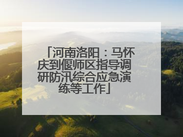 河南洛阳：马怀庆到偃师区指导调研防汛综合应急演练等工作
