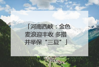 河南西峡：金色麦浪迎丰收 多措并举保“三夏”