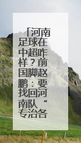 河南足球在中超咋样？前国脚赵鹏：要找回河南队“专治各种不服”的精神