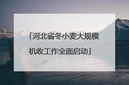 河北省冬小麦大规模机收工作全面启动