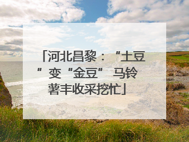 河北昌黎：“土豆”变“金豆” 马铃薯丰收采挖忙