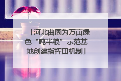 河北曲周为万亩绿色“吨半粮”示范基地创建指挥田机制