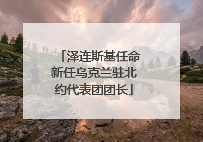 泽连斯基任命新任乌克兰驻北约代表团团长