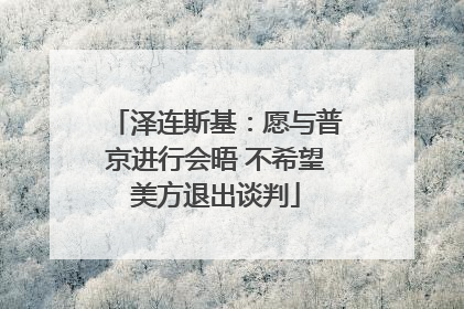 泽连斯基：愿与普京进行会晤 不希望美方退出谈判